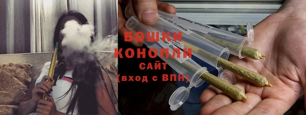 прущий лед Бородино