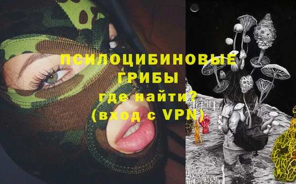 ПСИЛОЦИБИНОВЫЕ ГРИБЫ Верхнеуральск