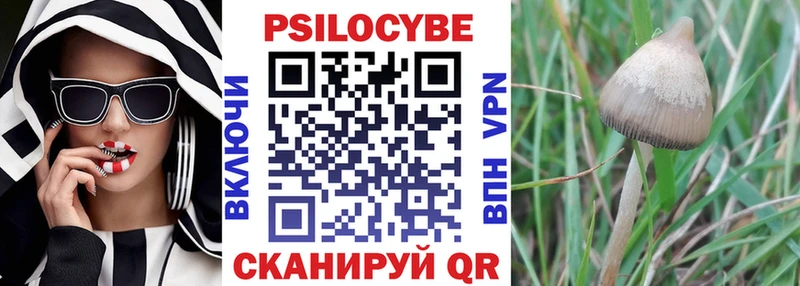 Купить закладки Краснослободск Галлюциногенные грибы Psilocybine cubensis