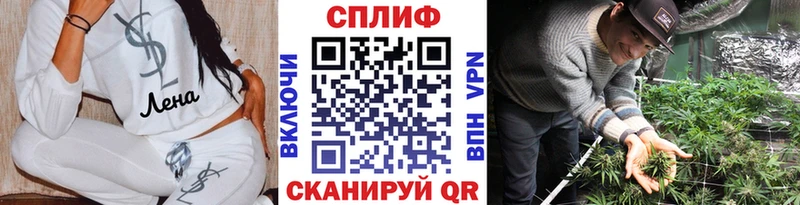 Бошки марихуана VHQ  Купить  Краснослободск 